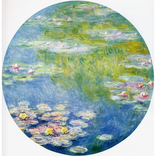 Water lilies 65