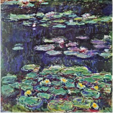 Water lilies 66