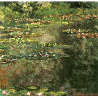 Water lilies 68