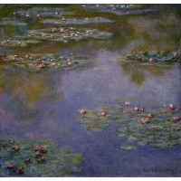 Water Lilies 7