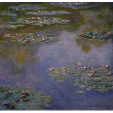 Water Lilies 7