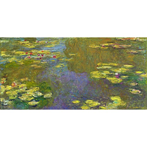 Water lilies 72
