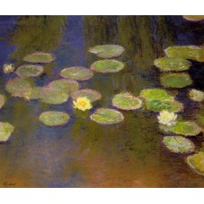 Water lilies 76