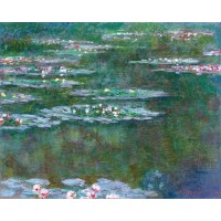 Water lilies 78