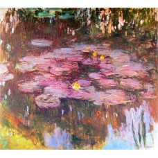 Water lilies 79