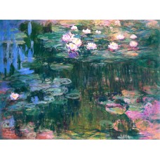 Water lilies 81