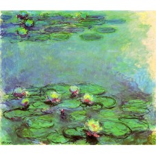 Water lilies 82