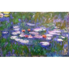 Water lilies 83