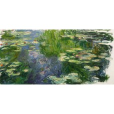Water lilies 85