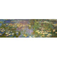 Water lilies 88