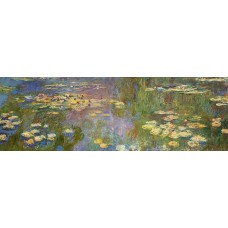 Water lilies 88