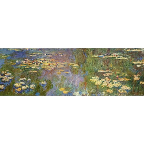 Water lilies 88