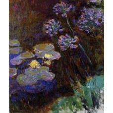 Water Lilies and Agapanthus