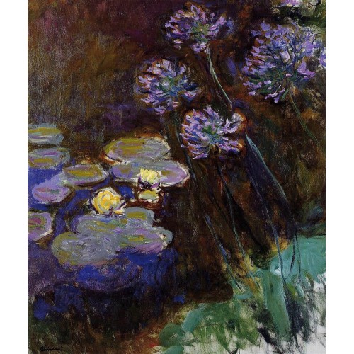 Water Lilies and Agapanthus