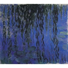 Water lilies and weeping willow branches