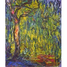 Weeping willow 8