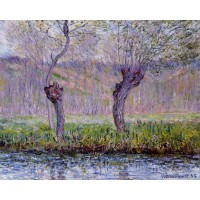 Willows in Spring