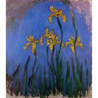 Yellow Irises 1