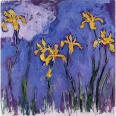 Yellow irises with pink cloud