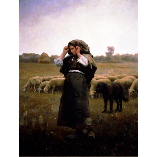 Shepherdess and her Flock