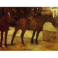 Study of Horses