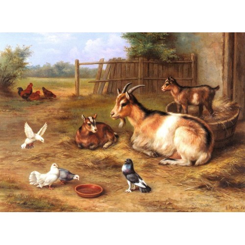 A Farmyard Scene with goats chickens doves