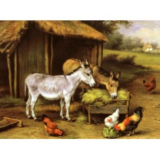 Chickens and Donkeys feeding outside a Barn
