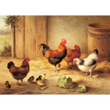 Chickens in a Barnyard