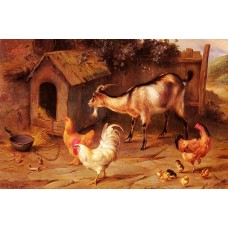 Fowl Chicks And Goats By A Dog Kennel