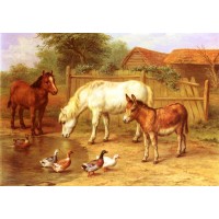 Ponies Donkey and Ducks in a Farmyard