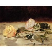 Two Roses on a Tablecloth