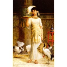 Ale the Attendant of the Sacred Ibis in the Temple of Isis