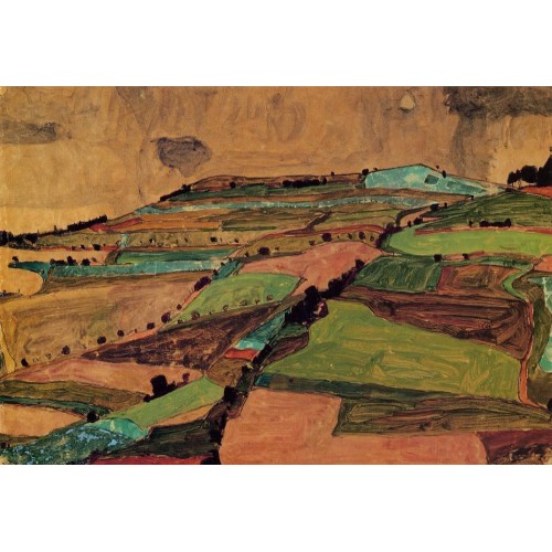 Field Landscape