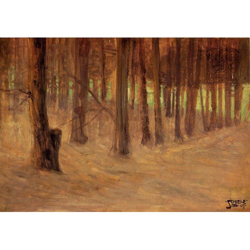 Forest with Sunlit Clearing in the Background