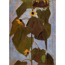 Sunflower 1