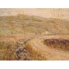 Road in Spring