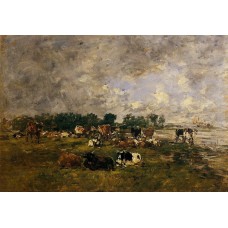 Cows in a Field 2