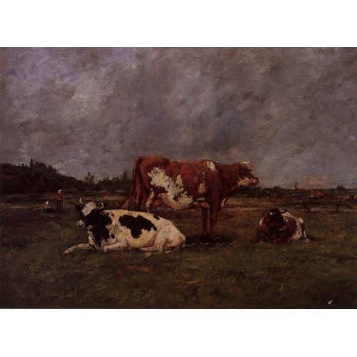 Cows in Pasture 1