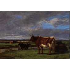 Cows near the Toques