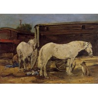 Gypsy Horses