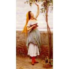 The Grape Picker