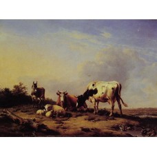 A gathering in the pasture