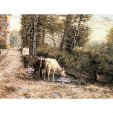 Cows Watering at a Quiet Pool