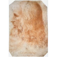 Portrait of Leonardo