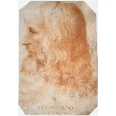 Portrait of Leonardo