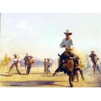 Wyoming Rodeo