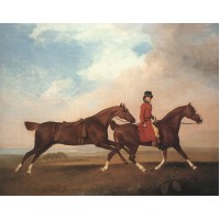 William Anderson with Two Saddle horses