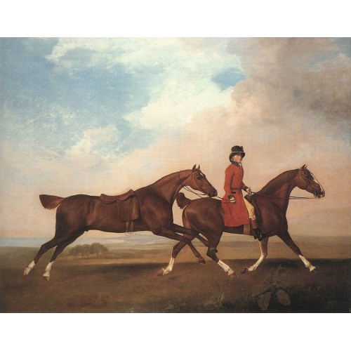 William Anderson with Two Saddle horses