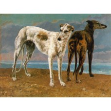 Count de Choiseul's Greyhounds