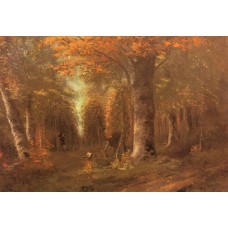 Forest in Autumn